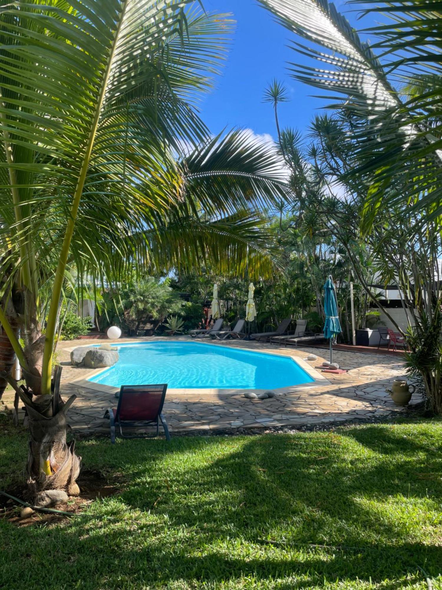 Villa Albizia 974 Avec Piscine Et Spa Saint Pierre Ngoại thất bức ảnh